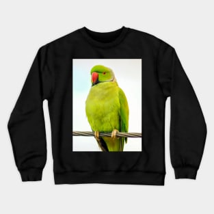 Rose-Ringed Parakeet (Ring-Necked Parakeet) Crewneck Sweatshirt